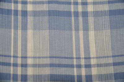 special finish fabric _DSC0349